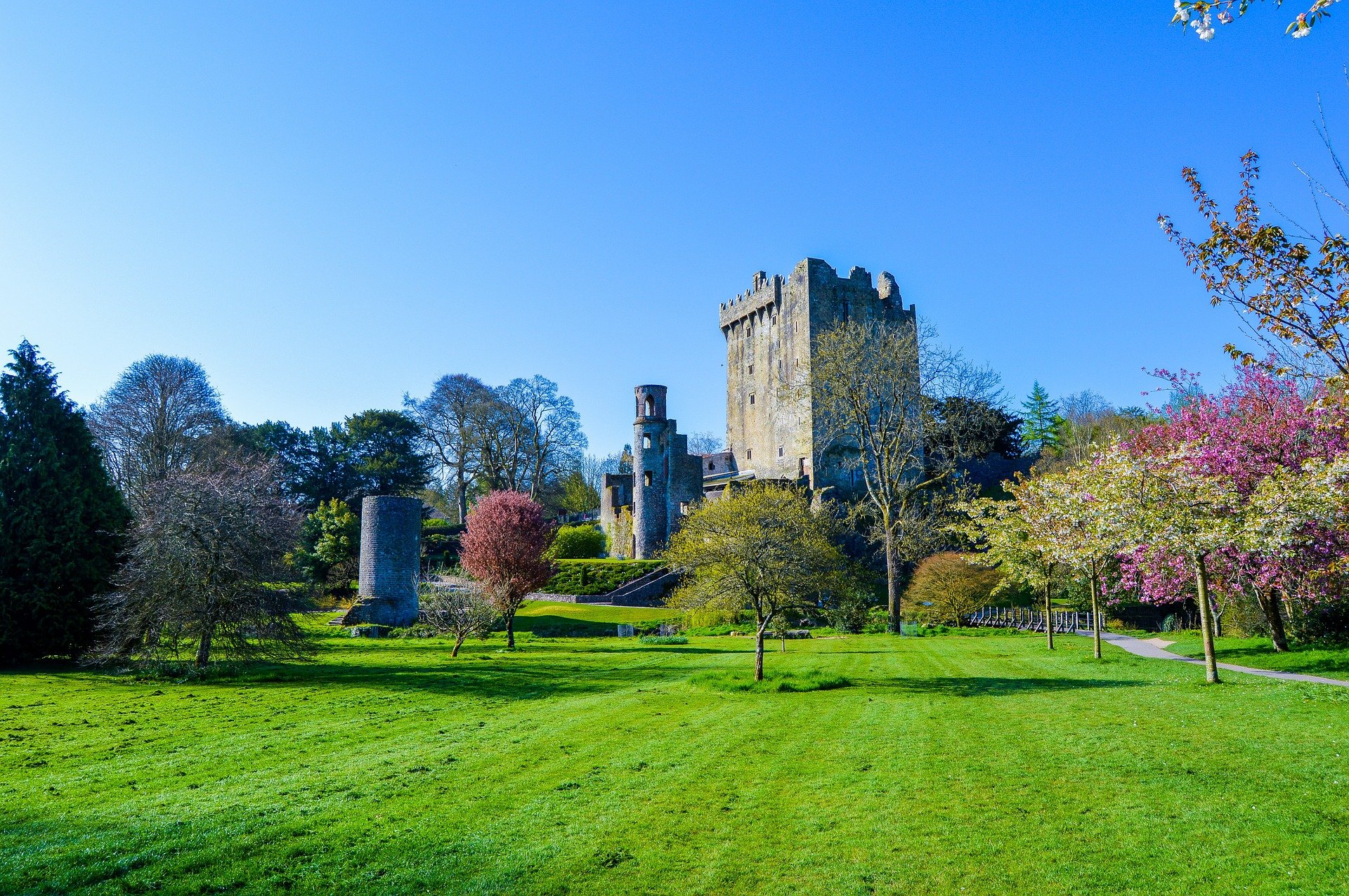 irish day tours blarney