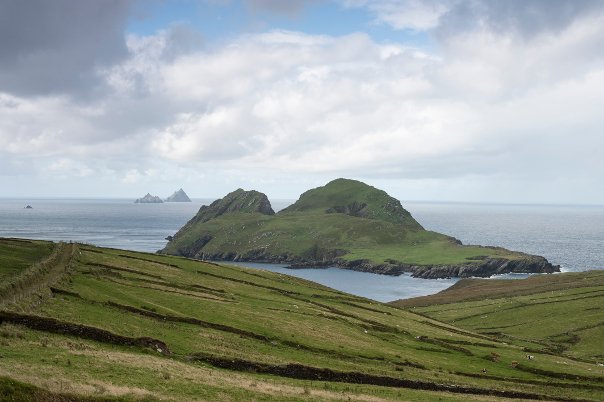 Skellig Islands View